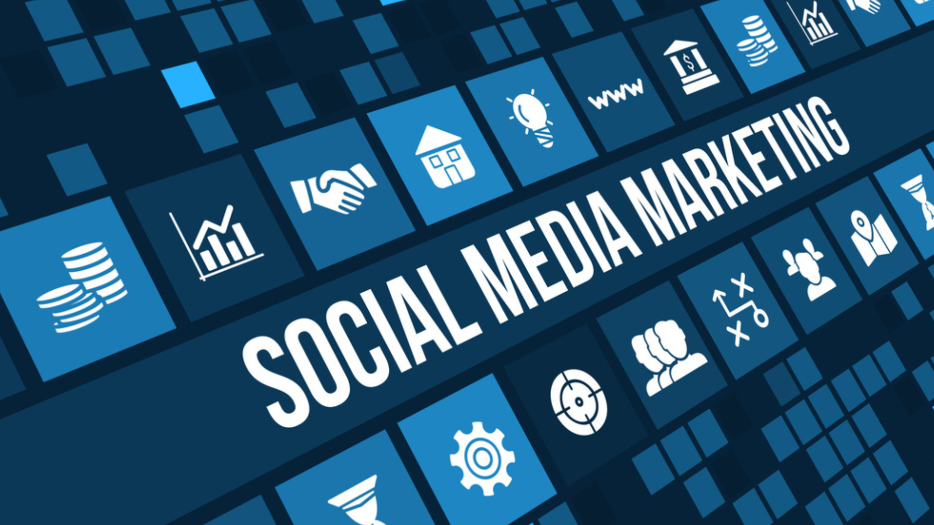 social media management